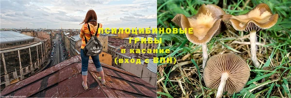 каннабис Алексин