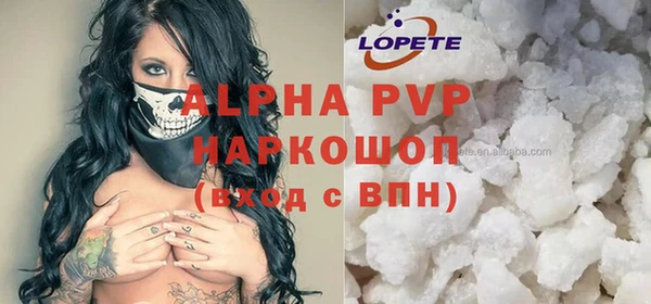 индика Слюдянка